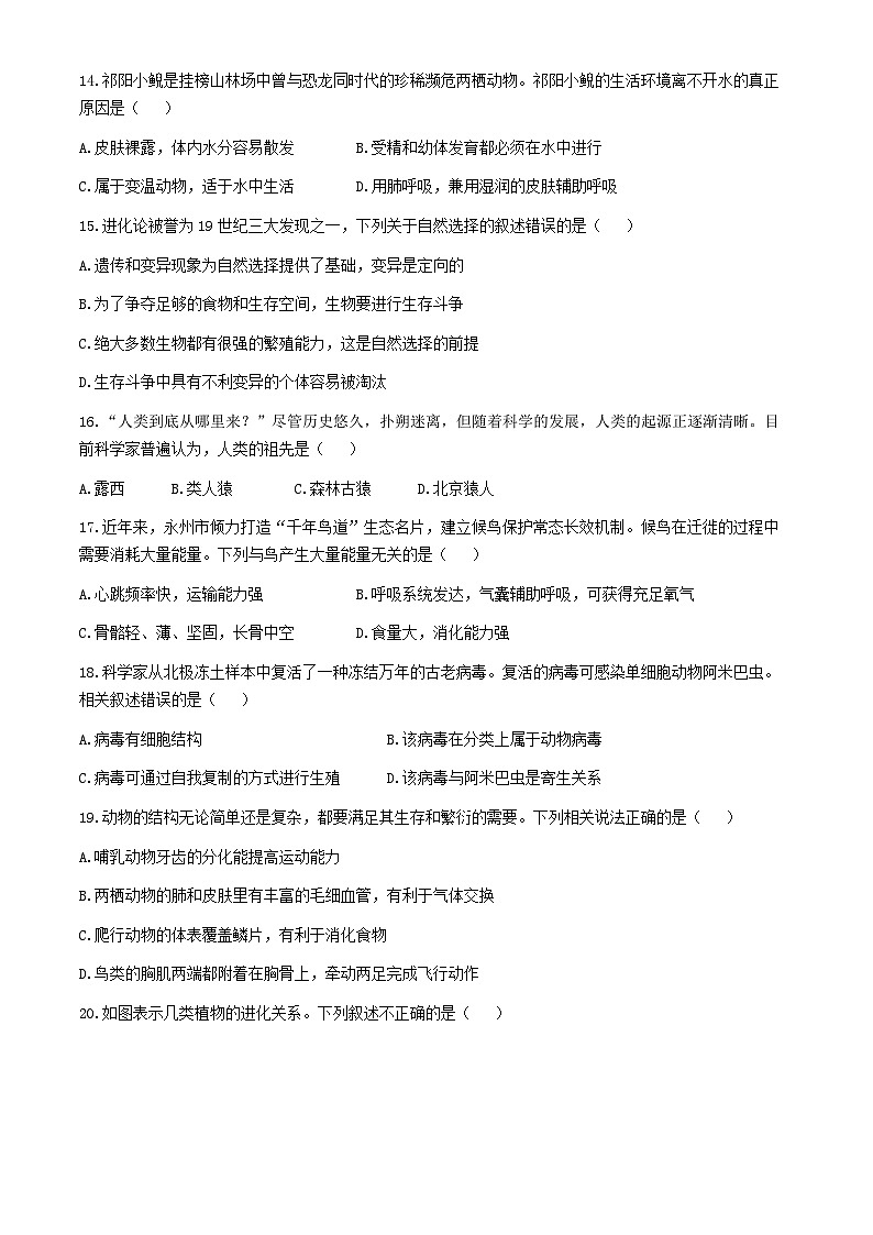 湖南省永州市道县2024-2025学年八年级上学期期中生物试题第3页