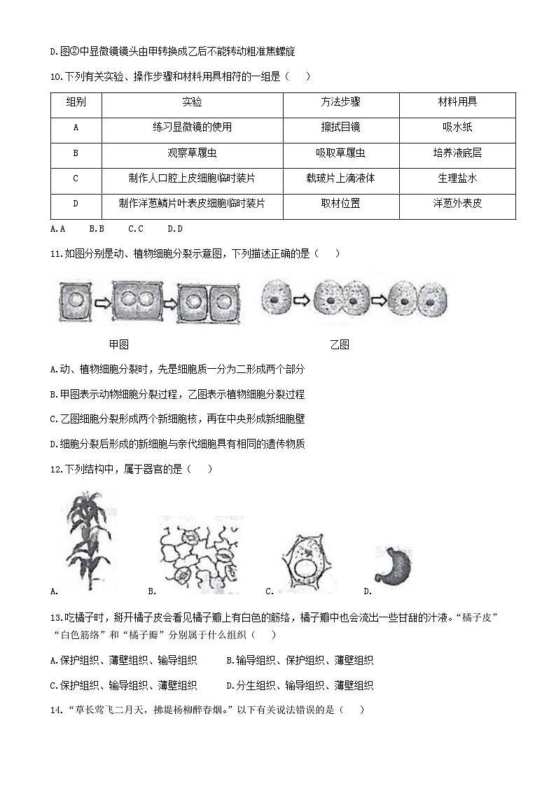 黑龙江省齐齐哈尔市龙江县多所学校2024-2025学年七年级上学期期中生物学试题第3页