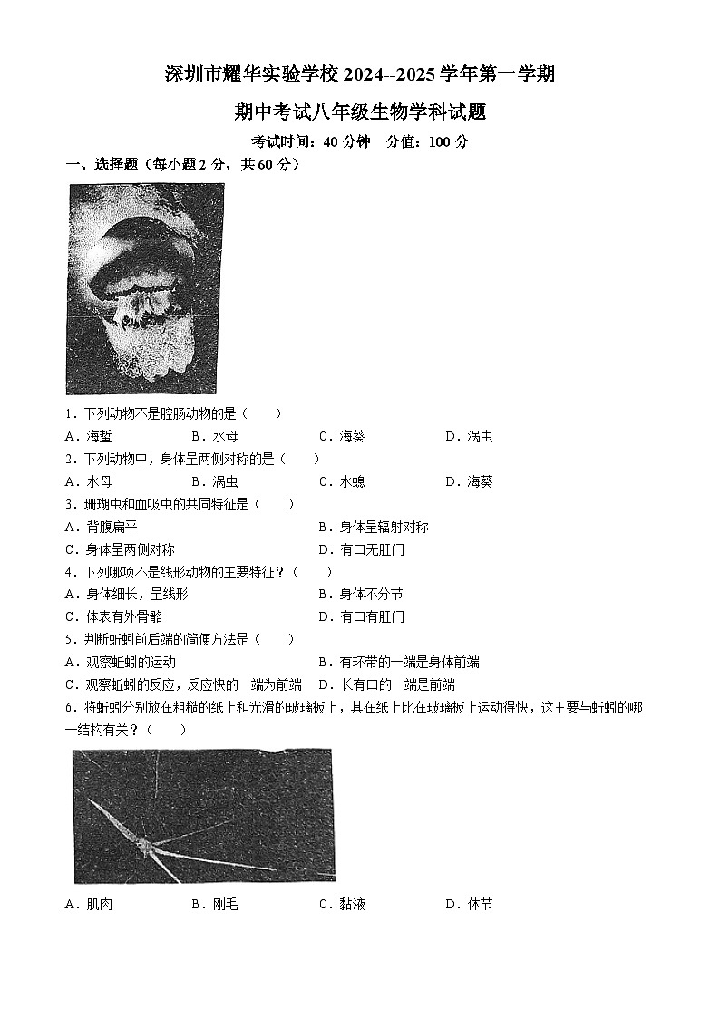 广东省深圳市福田区耀华实验学校2024-2025学年八年级上学期期中生物试题(无答案)01