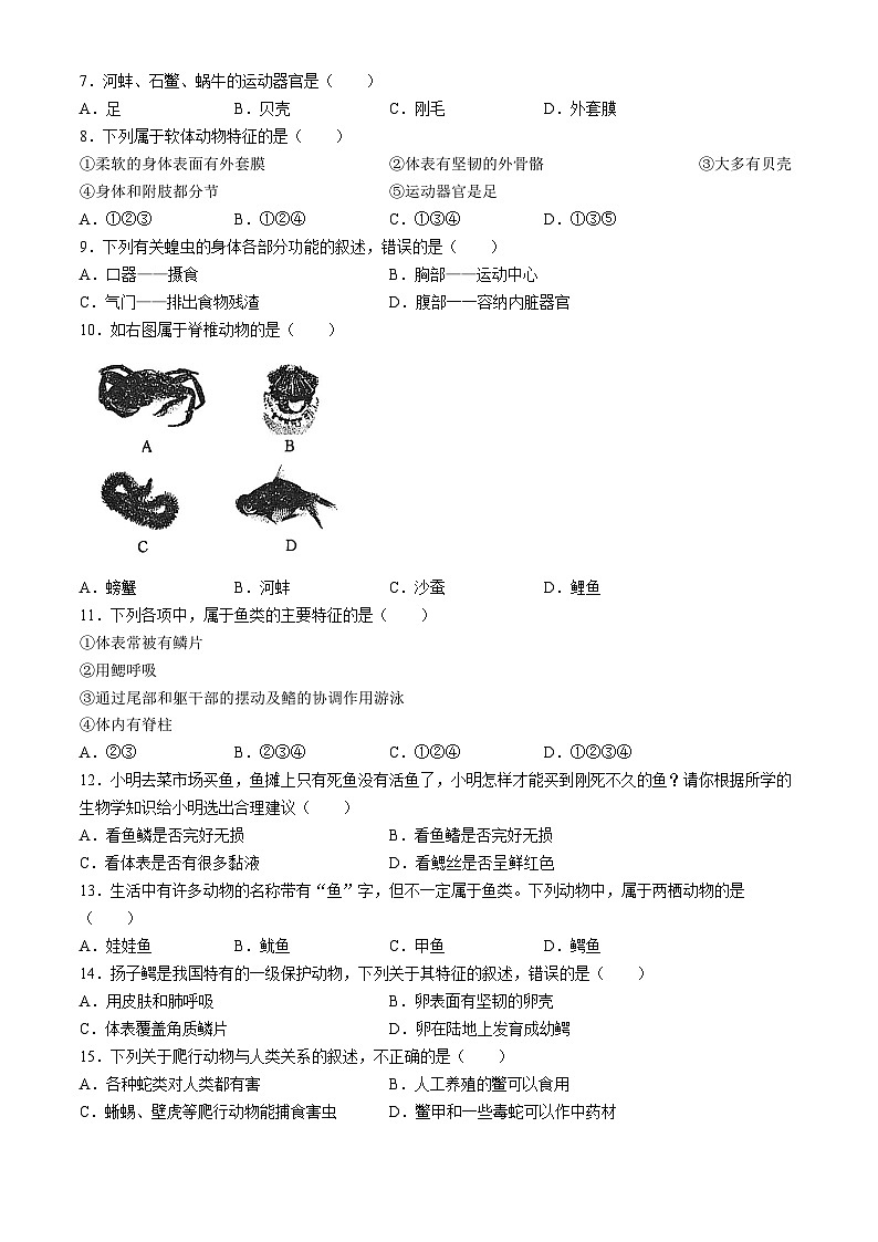 广东省深圳市福田区耀华实验学校2024-2025学年八年级上学期期中生物试题(无答案)02