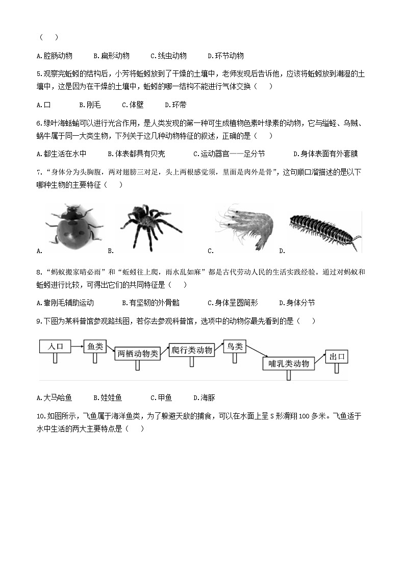 云南省昭通市威信县2024-2025学年八年级上学期期中生物学试题第2页