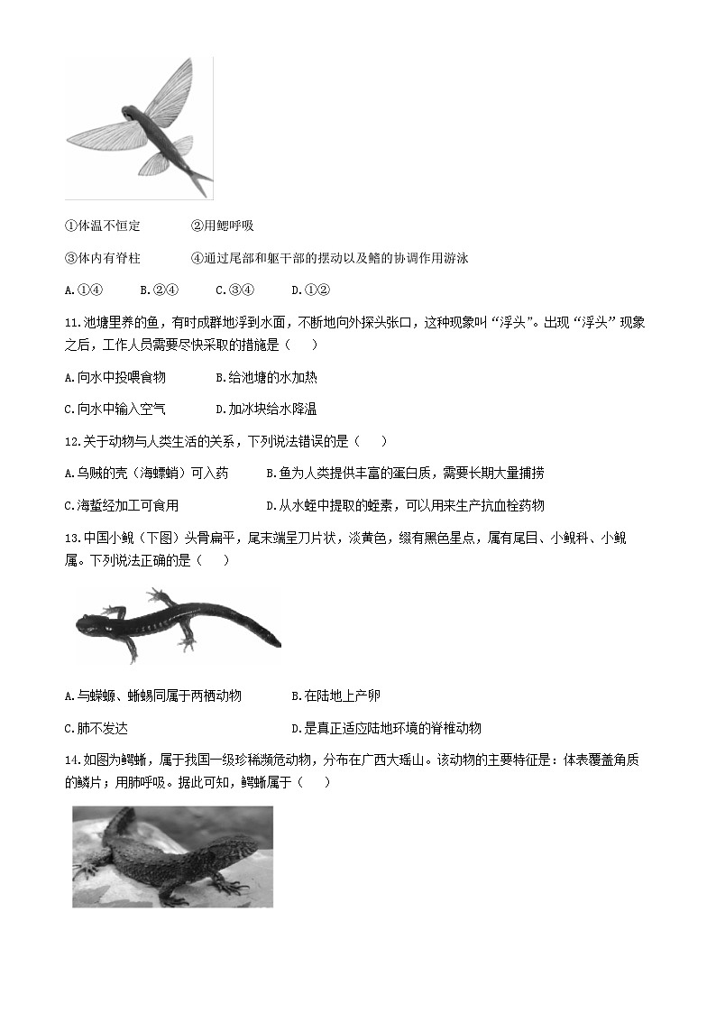 云南省昭通市威信县2024-2025学年八年级上学期期中生物学试题第3页