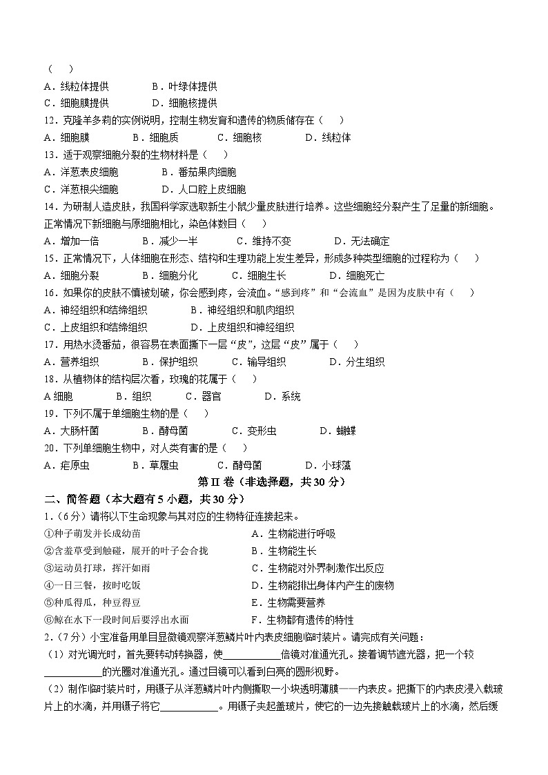 陕西省宝鸡市陈仓区2024-2025学年七年级上学期期中生物试题02