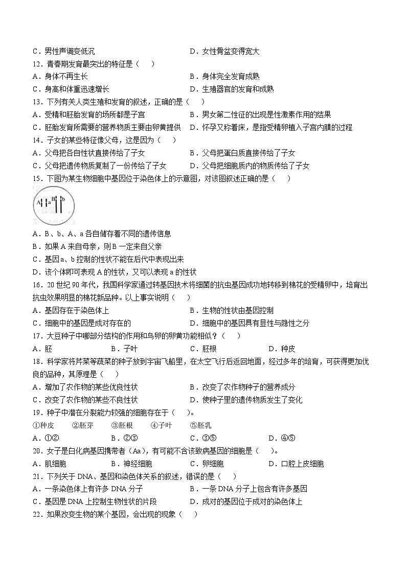 山东省乐陵市2024-2025学年八年级上学期期中生物试题第2页