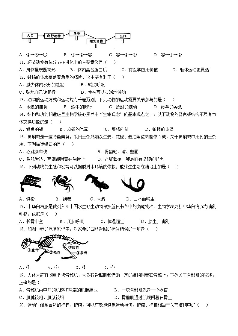 陕西省西安市西咸新区2024-2025学年八年级上学期期中生物学试题02