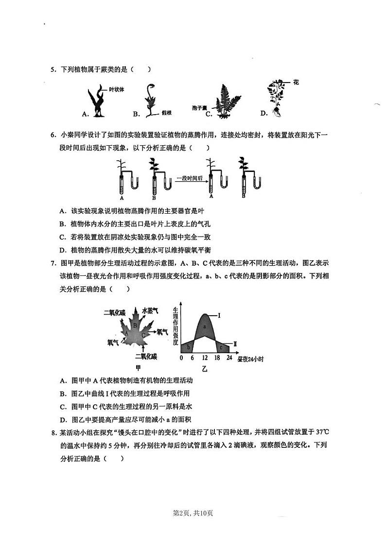 陕西省西安交通大学附属中学2024-2025学年八年级上学期期中考试生物试题02