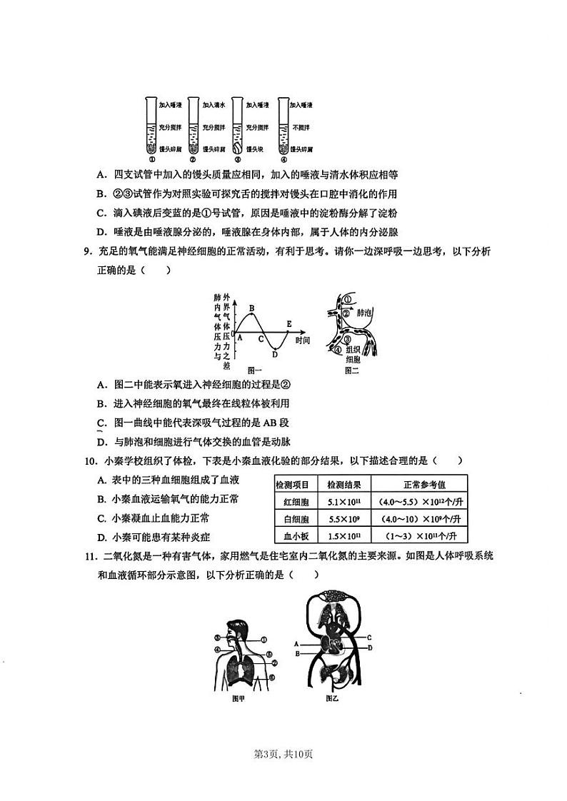 陕西省西安交通大学附属中学2024-2025学年八年级上学期期中考试生物试题03