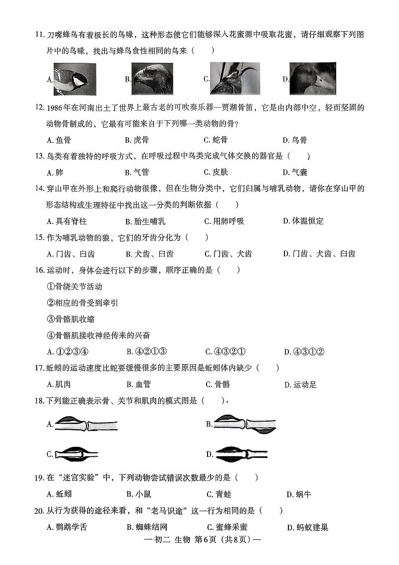 江西省南昌市东湖区心远中学2024-2025学年八年级上学期期中考试生物试卷02