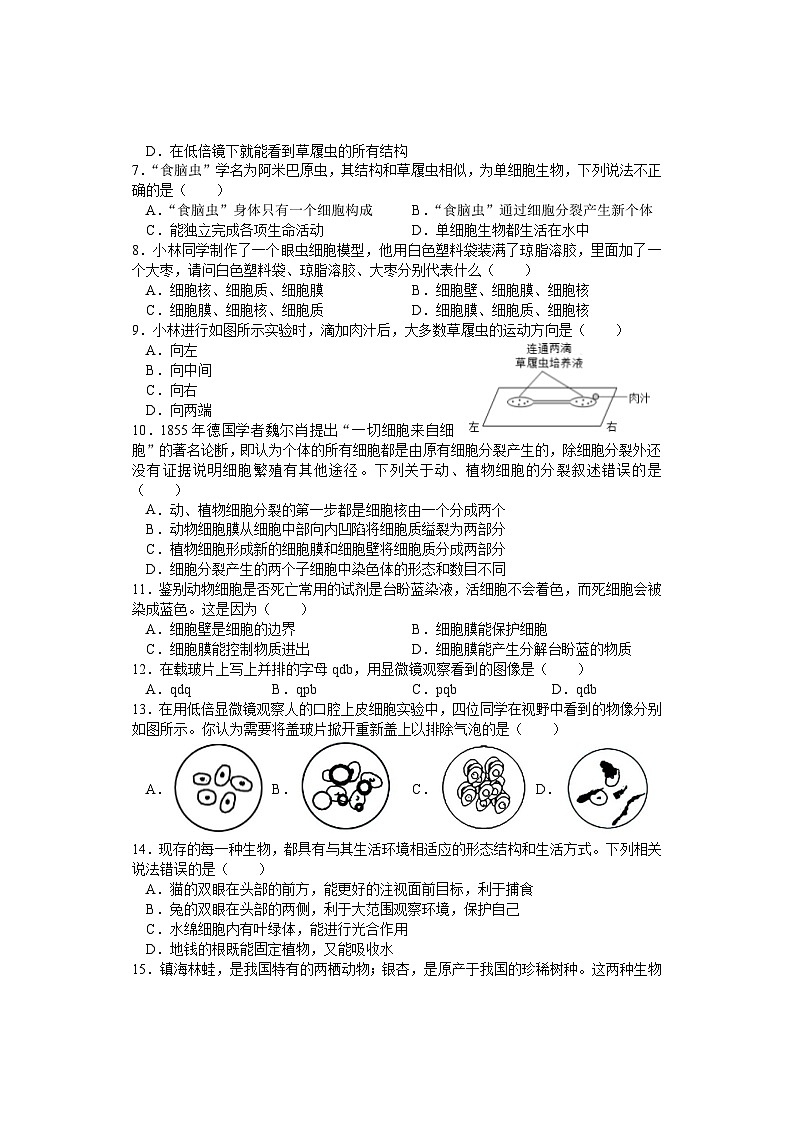期中考试 七年级生物 排2第2页