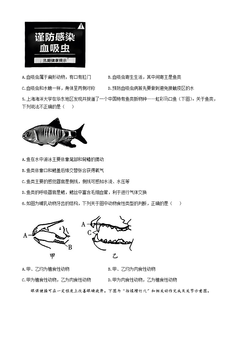 山西省朔州市怀仁市2024-2025学年八年级上学期期中生物学试题第2页