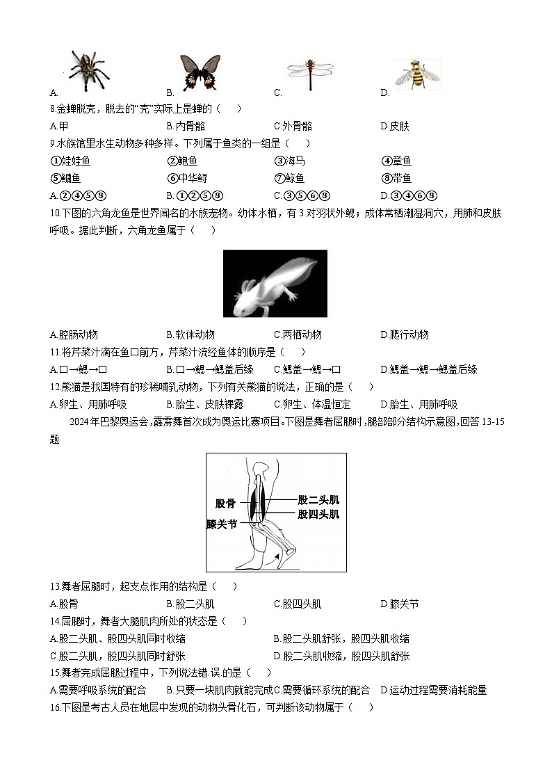 福建省宁德市霞浦县2024-2025学年八年级上学期期中生物学试题02