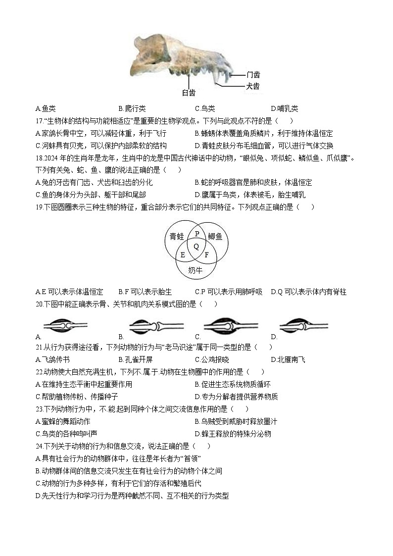 福建省宁德市霞浦县2024-2025学年八年级上学期期中生物学试题03