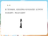【新教材】苏教版生物七年级上册2.6.2生物的多样性  课件+导学案（含答案）