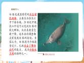 【新教材】苏教版生物七年级上册2.6.3生物资源的保护  课件+导学案（含答案）