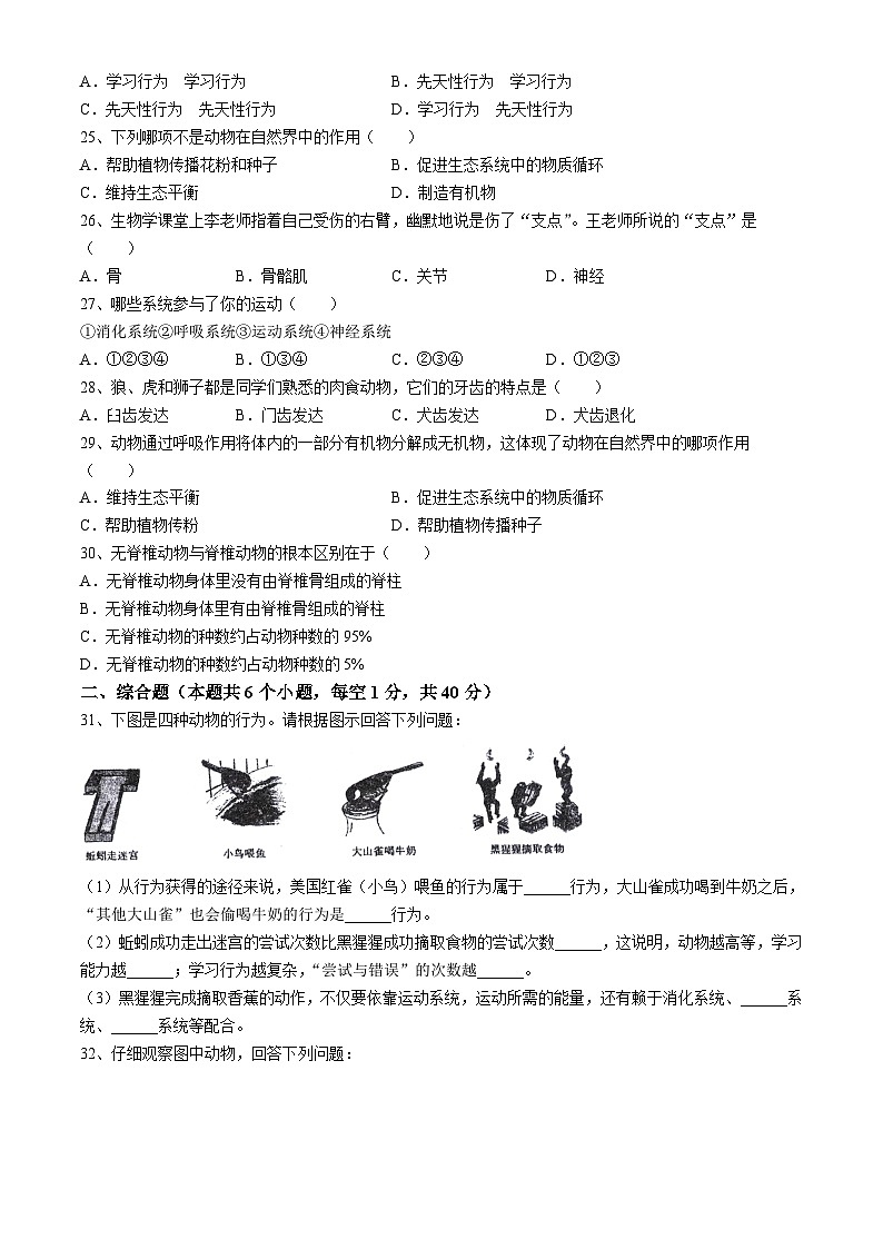 黑龙江省绥化市海伦市2024-2025学年七年级上学期期中生物学试题第3页