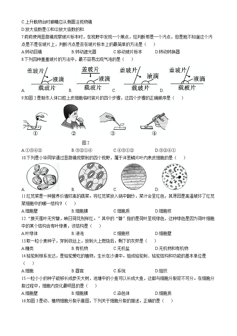 云南省昭通市威信县2024-2025学年七年级上学期期中生物学试题第2页