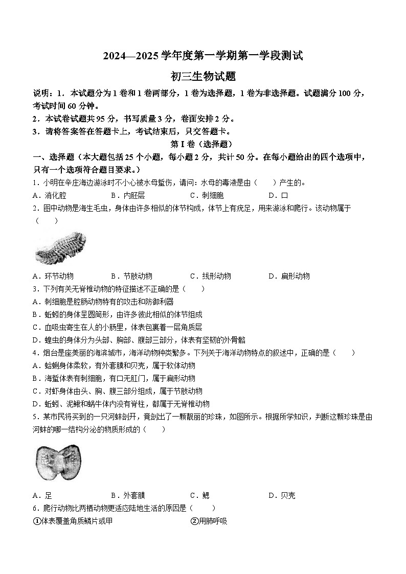 山东省烟台市招远市2024-2025学年八年级上学期期中生物试题第1页