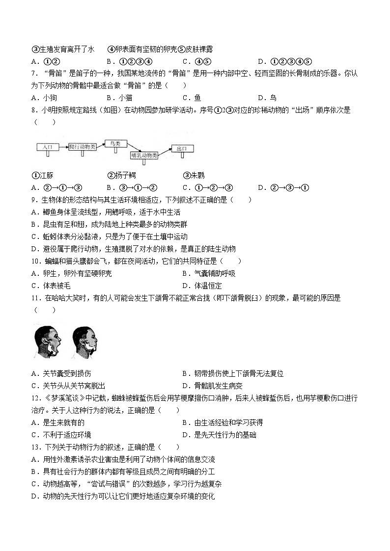 山东省烟台市招远市2024-2025学年八年级上学期期中生物试题第2页