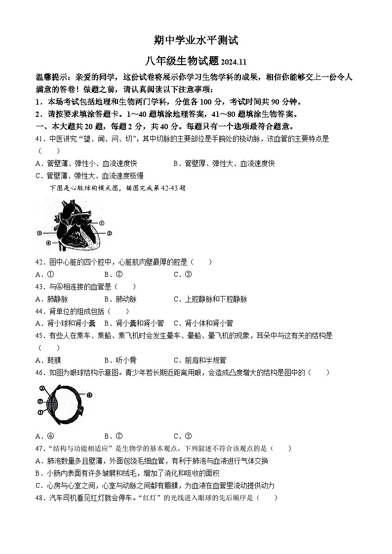 江苏省淮安市金湖县2024-2025学年八年级上学期期中生物试题第1页