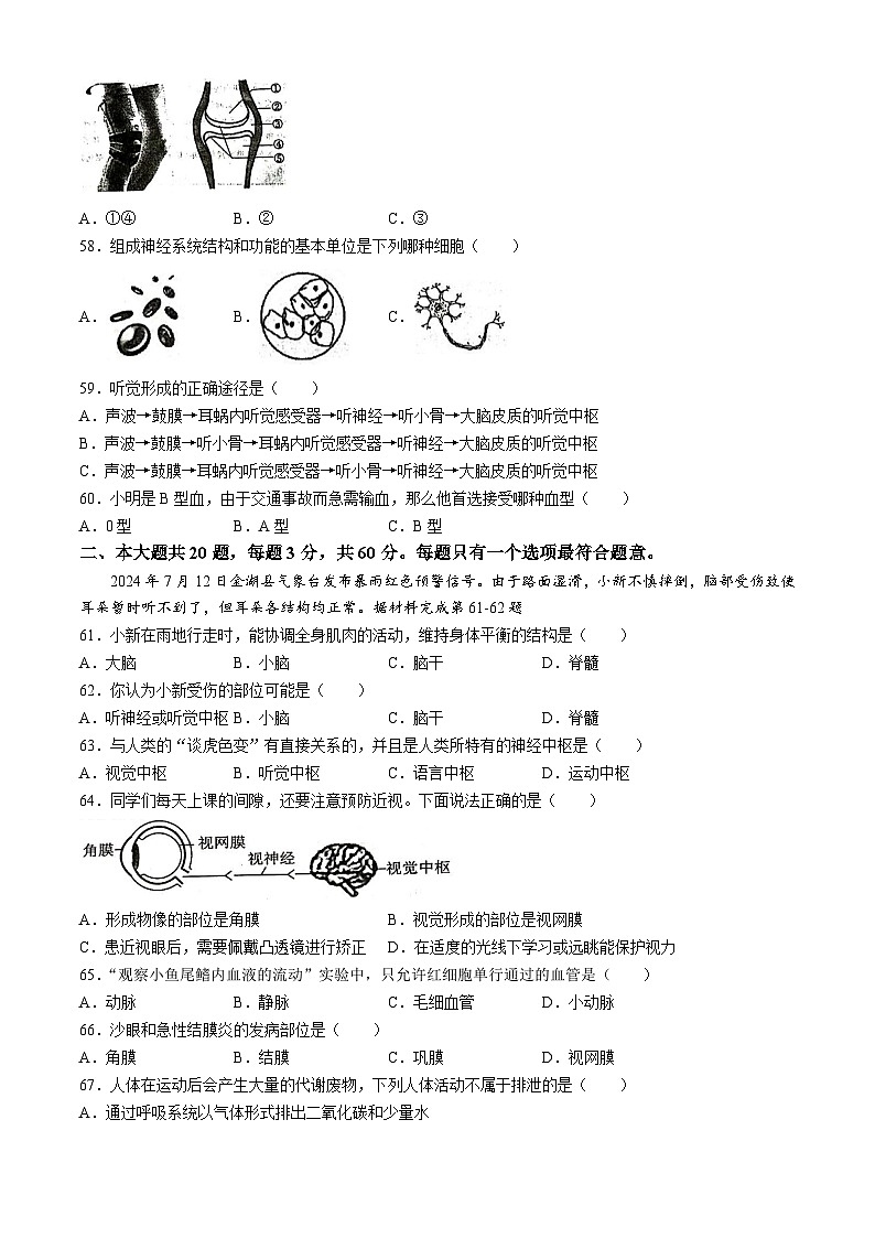 江苏省淮安市金湖县2024-2025学年八年级上学期期中生物试题第3页
