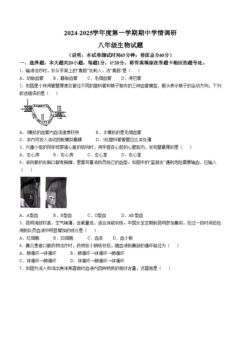 江苏省徐州市丰县2024-2025学年八年级上学期期中生物学试题第1页