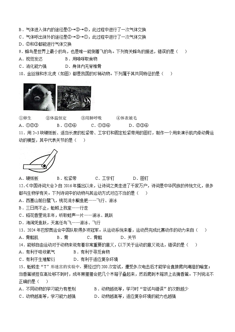 安徽省安庆市桐城市黄岗初中2024-2025学年八年级上学期期中生物学试题(无答案)02