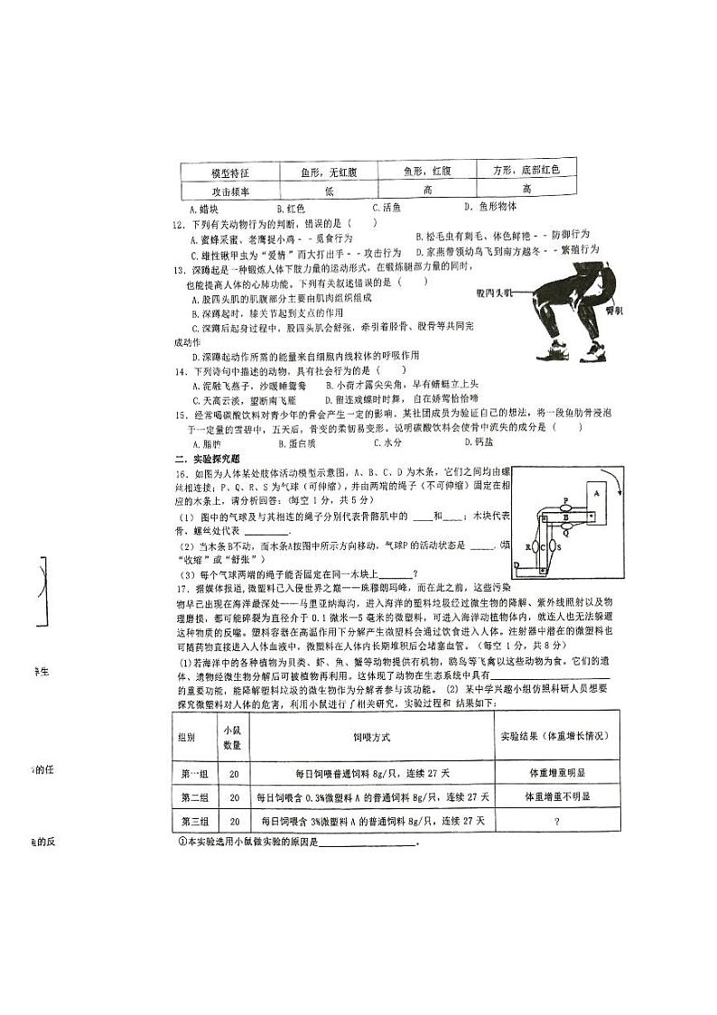 山西省忻州市某校2024-2025学年八年级上学期期中考试生物试题第2页
