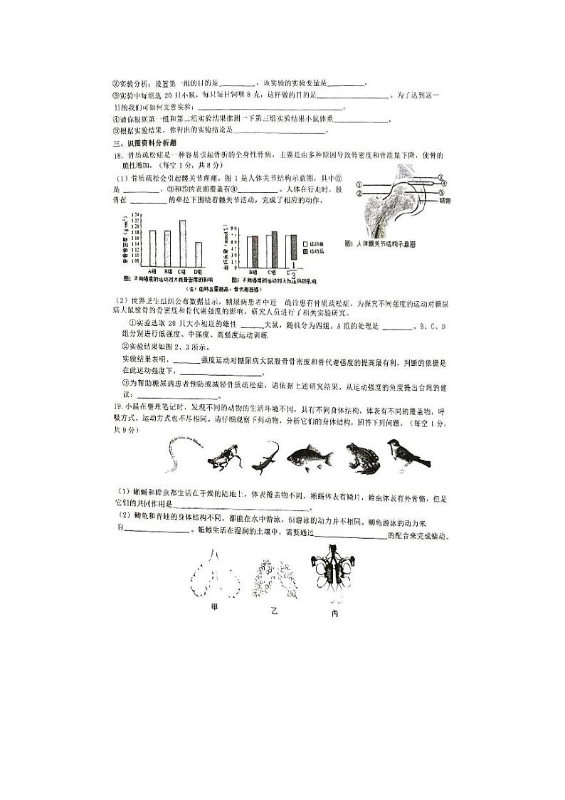 山西省忻州市某校2024-2025学年八年级上学期期中考试生物试题第3页