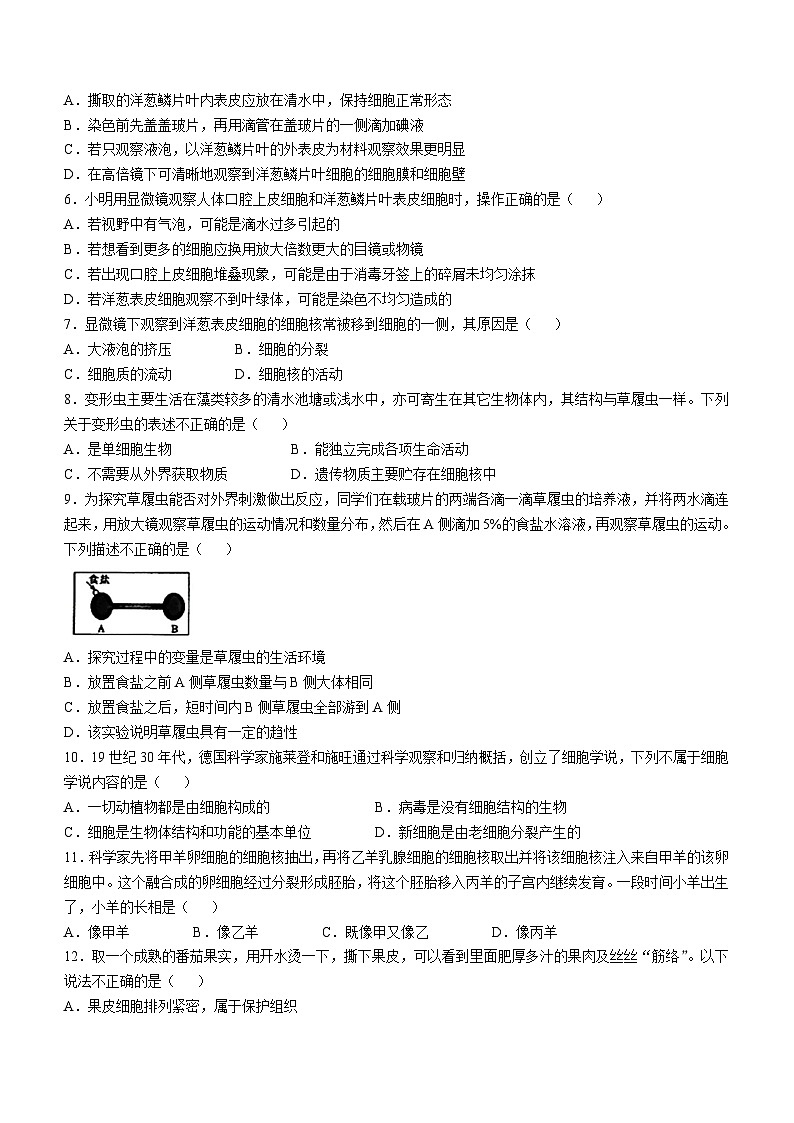 山东省潍坊市诸城市2024--2025学年七年级上学期期中生物试题02