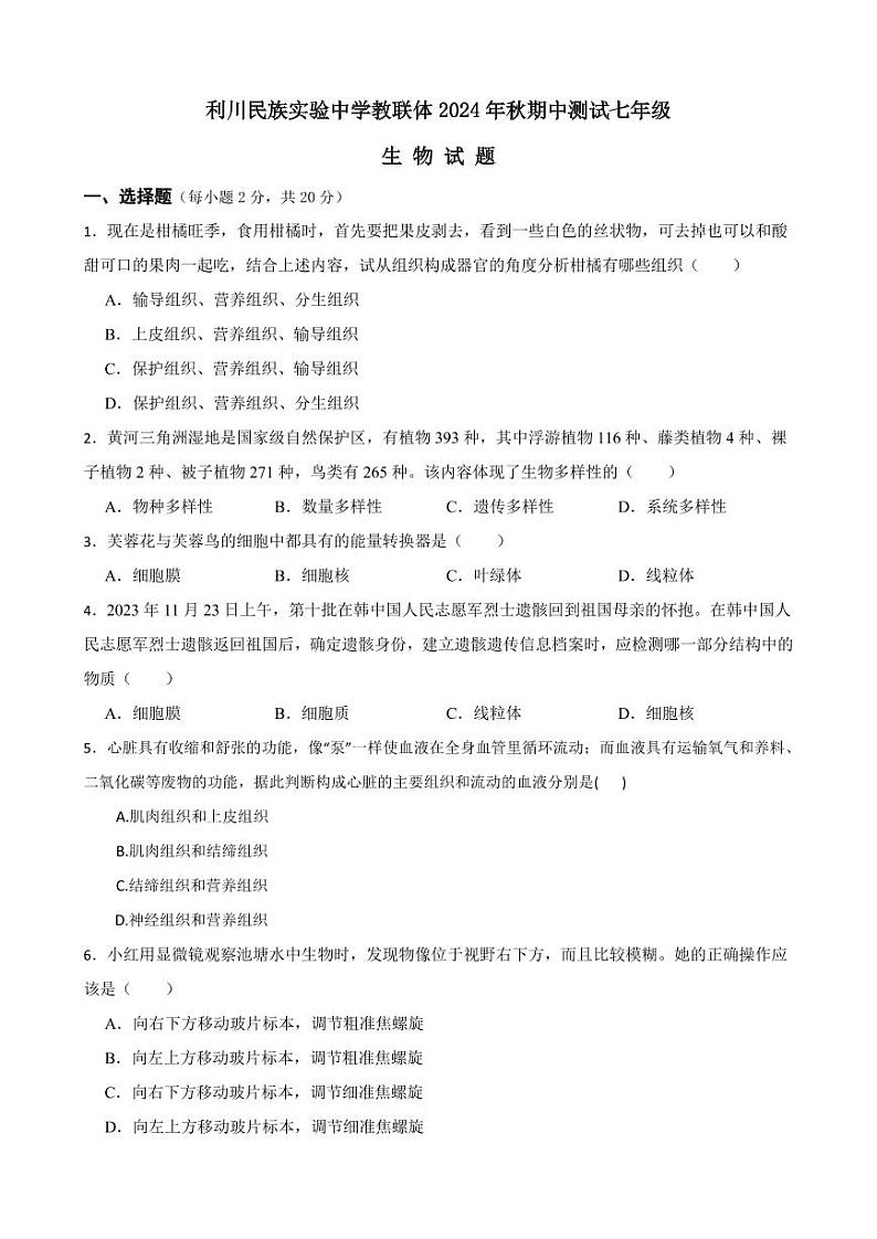湖北省恩施土家族苗族自治州利川市民族实验中学教联体2024-2025学年七年级上学期11月期中生物试题01
