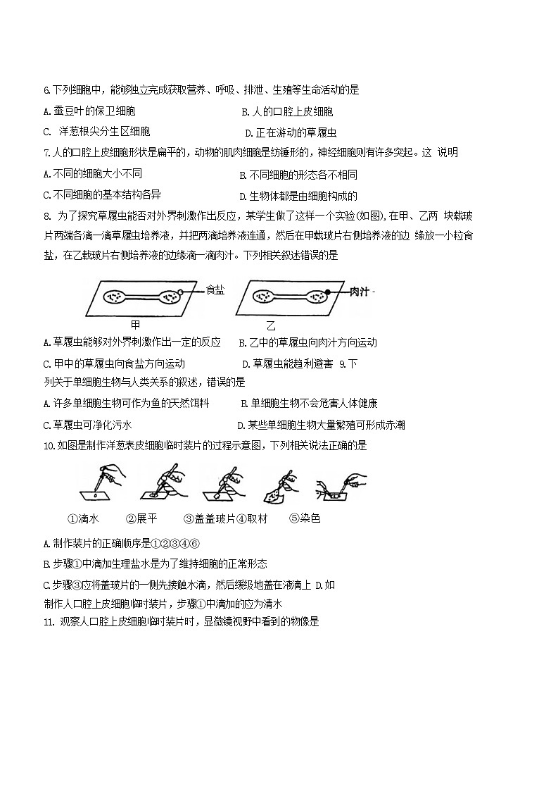 河北省石家庄外国语教育集团2024-2025学年七年级上学期期中测试生物试题第2页