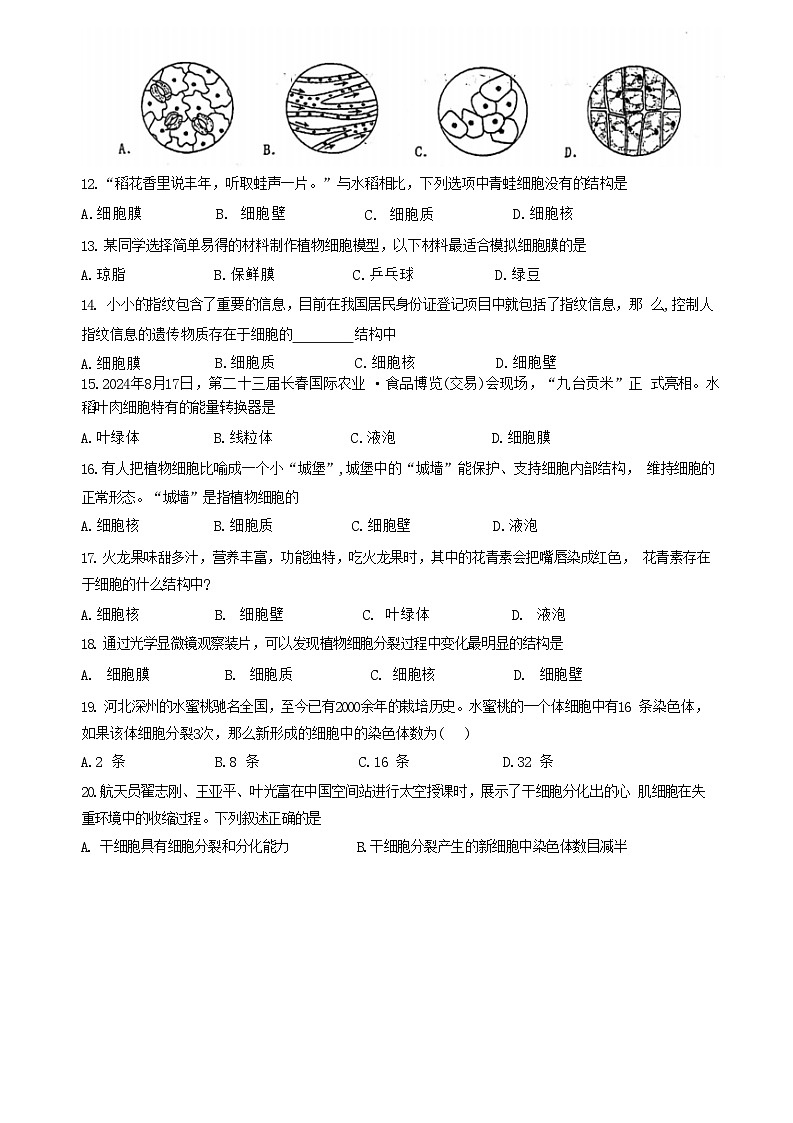 河北省石家庄外国语教育集团2024-2025学年七年级上学期期中测试生物试题第3页