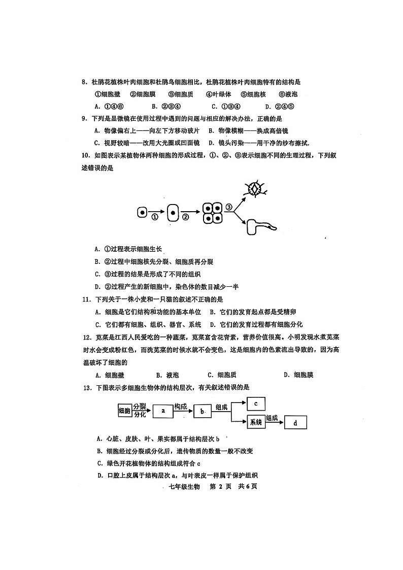 江西省景德镇市2024-2025学年七年级上学期11月生物期中考试试卷第2页