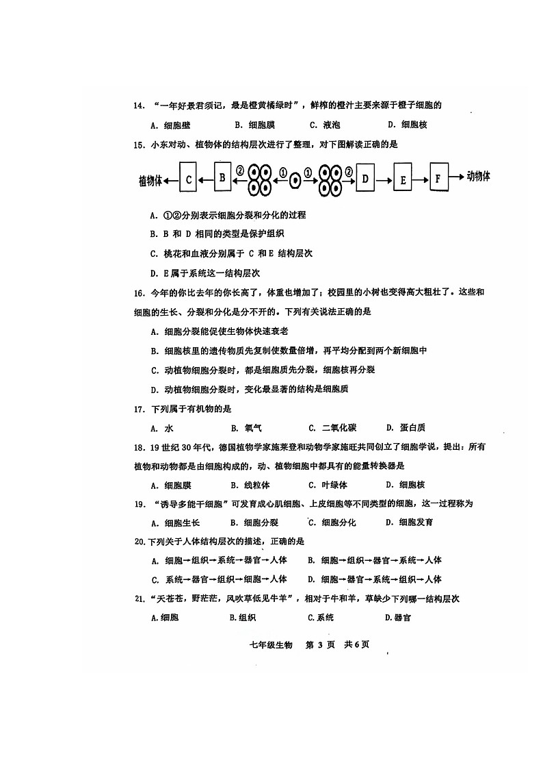 江西省景德镇市2024-2025学年七年级上学期11月生物期中考试试卷第3页