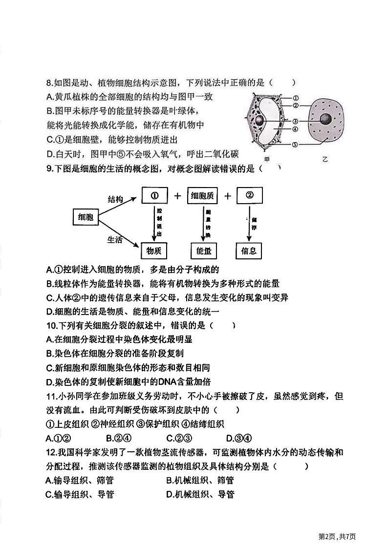 2024年哈尔滨市虹桥中学七年级（上）期中考试生物试题及答案第2页