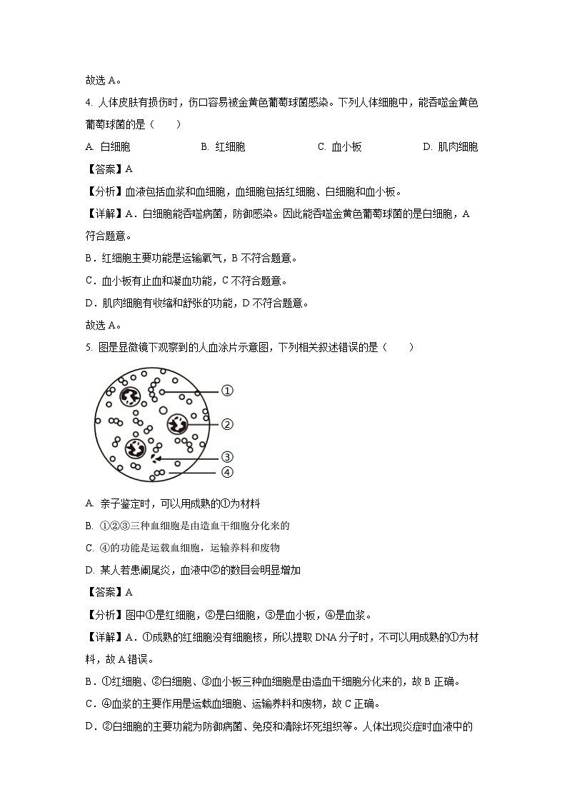 江苏省泰州市靖江市靖城中学八校联盟2024-2025学年八年级上学期9月月考生物试卷（解析版）第3页