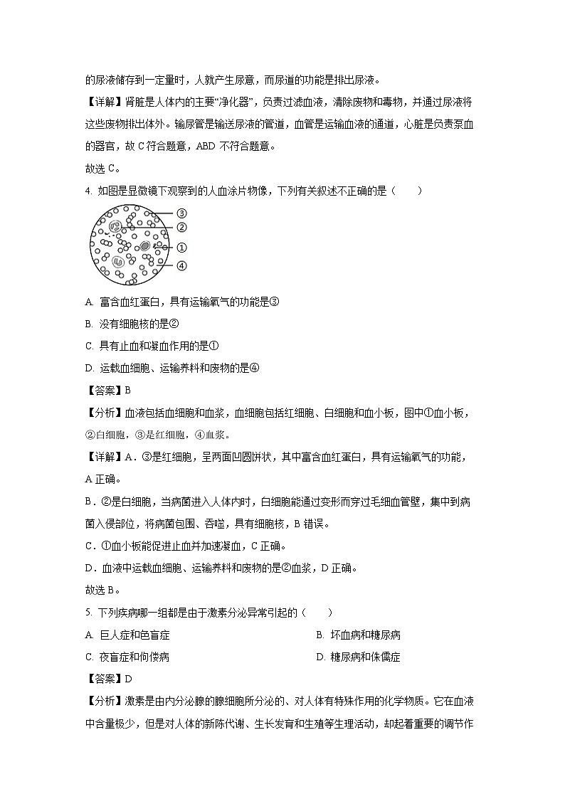 江苏省镇江市丹徒区2023-2024学年八年级上学期期末生物试卷（解析版）第2页
