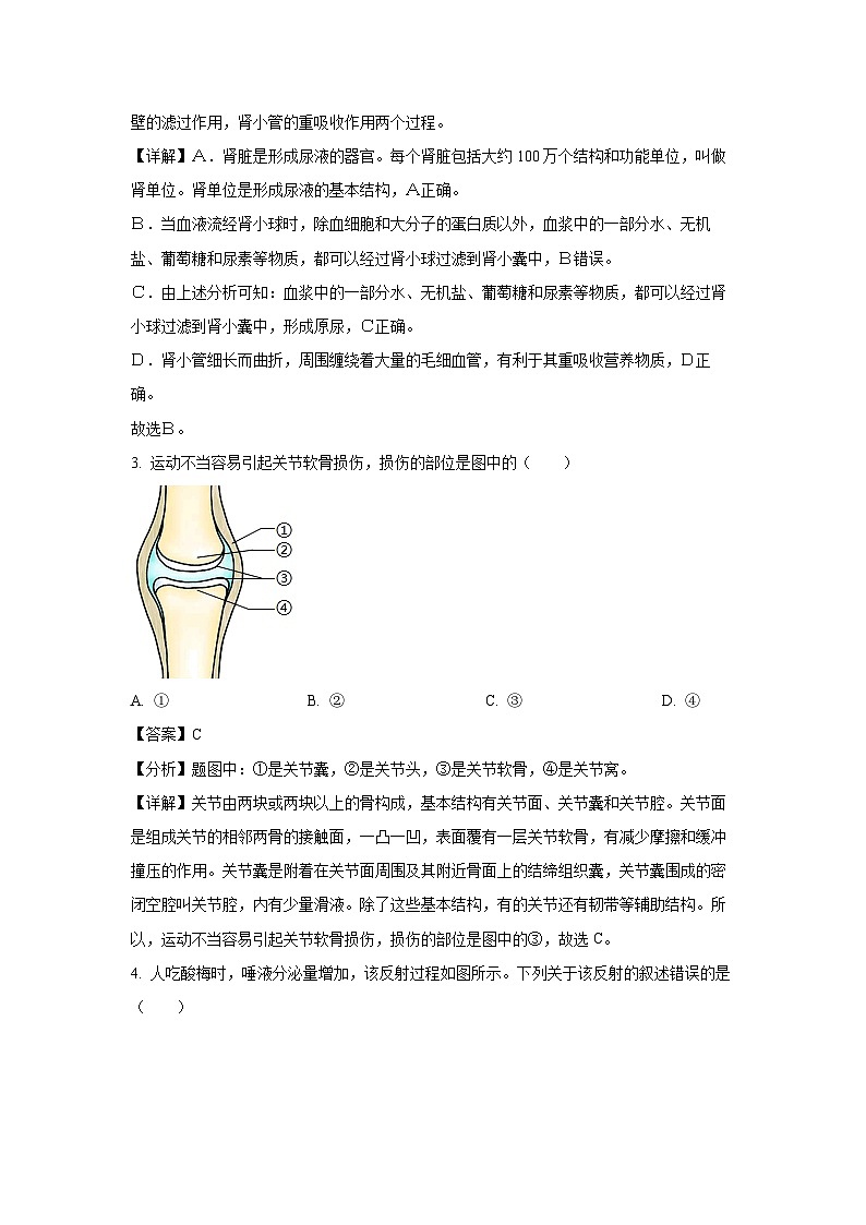 江苏省镇江市丹徒区2023-2024学年八年级上学期期中生物试卷（解析版）02