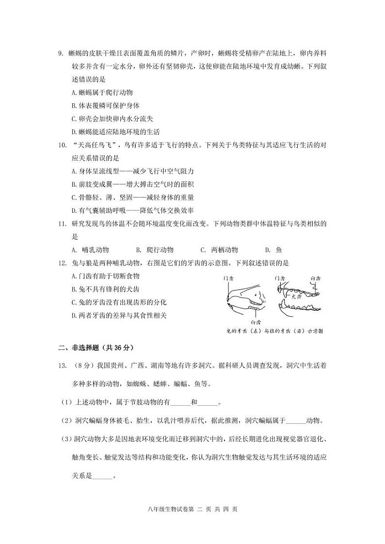 贵州省贵阳市部分校联盟2024-2025学年八年级上学期期中联考生物试题第2页