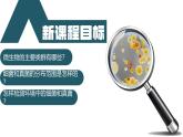 2.3.1 微生物的分布（教学课件）-2024-2025学年度七年级生物上册同步高效课堂（人教版2024）