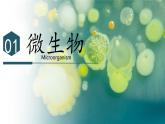 2.3.1 微生物的分布（教学课件）-2024-2025学年度七年级生物上册同步高效课堂（人教版2024）