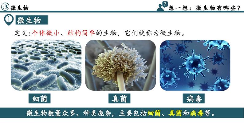 2.3.1 微生物的分布（教学课件）-2024-2025学年度七年级生物上册同步高效课堂（人教版2024）第6页