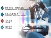 2.3.2 细菌（教学课件）-2024-2025学年七年级生物上册同步高效课堂（人教版2024）
