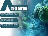 2.3.2 细菌（教学课件）-2024-2025学年七年级生物上册同步高效课堂（人教版2024）