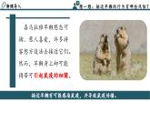 2.3.2 细菌（教学课件）-2024-2025学年七年级生物上册同步高效课堂（人教版2024）