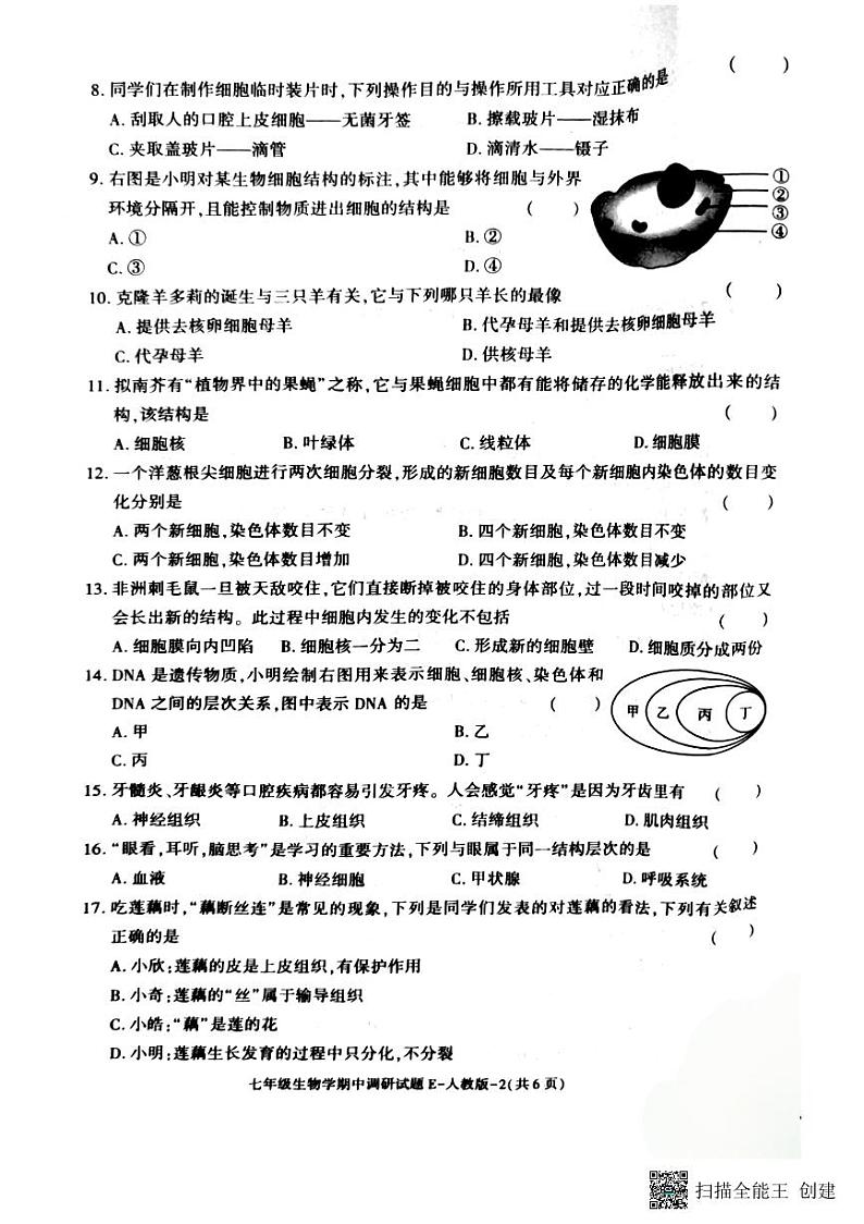 陕西省渭南市韩城市2024-2025学年七年级上学期期中考试生物试题第2页