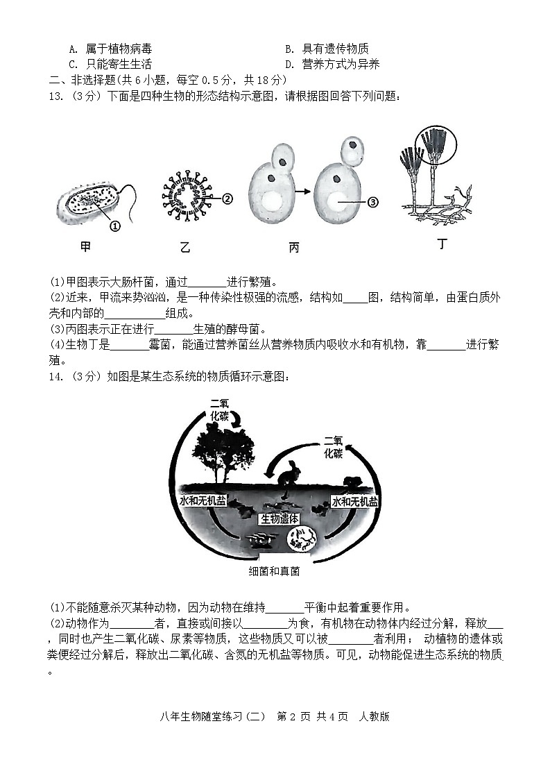 辽宁省铁岭市开原市2024-2025学年八年级上学期11月期中生物试题02