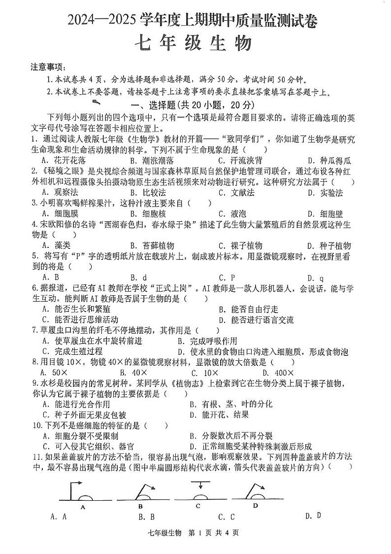 河南省信阳市罗山县2024-2025学年七年级上学期11月期中生物试题01