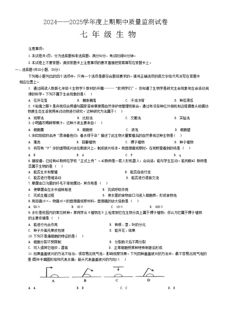 河南省信阳市罗山县2024-2025学年七年级上学期11月期中生物试题01