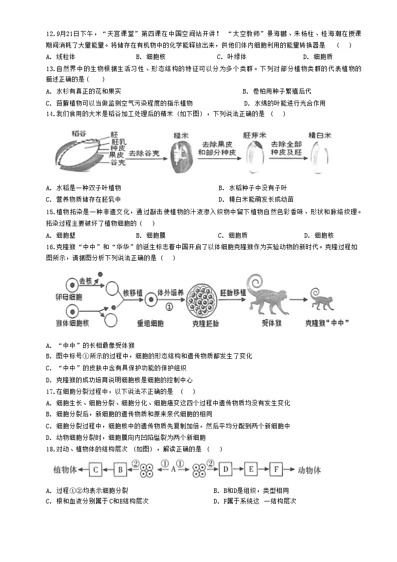 河南省信阳市罗山县2024-2025学年七年级上学期11月期中生物试题02